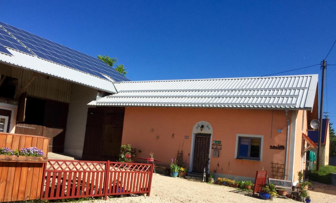 Emma Apartment Burladingen Екстериор снимка